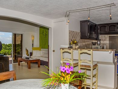 St. Barts Home 897860