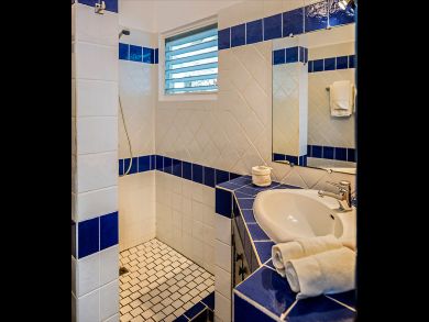 St. Barts Home 897937