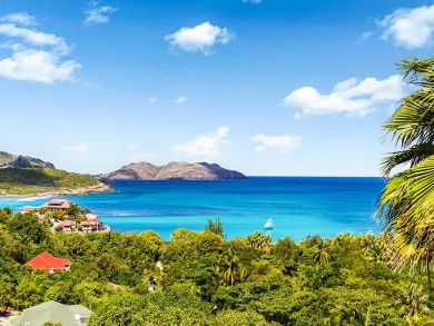 St. Barts Home 898003