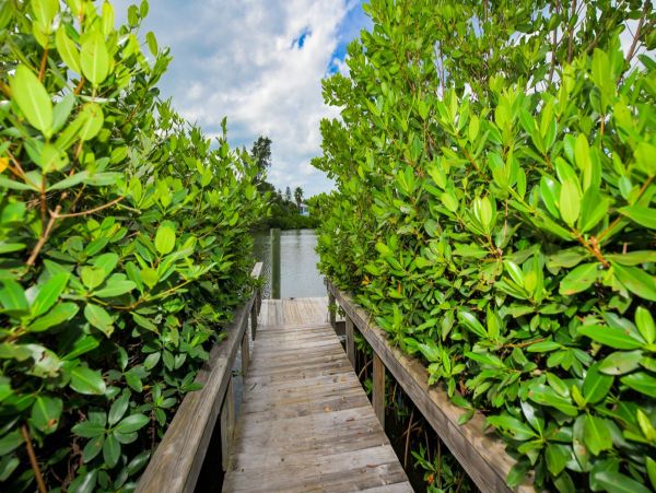 Anna Maria Two Bedroom Two Bathroom Home with Pool