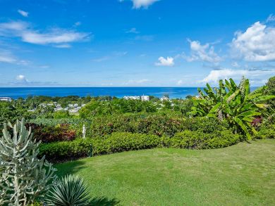 The ultimate in Terms of Carribean Luxury Villa