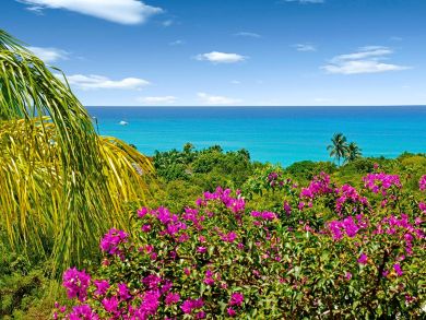 Saint Maarten Saint Martin Home 898255