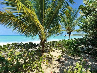 Saint Maarten Saint Martin Home 898270