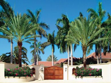Saint Maarten Saint Martin Home 898315
