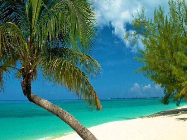 Luxurious Grand Cayman Seven Bedroom Pool Villa