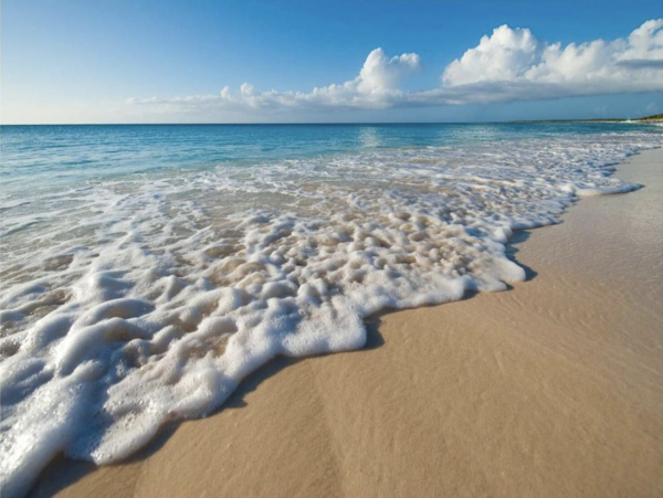 Turks & Caicos Delight