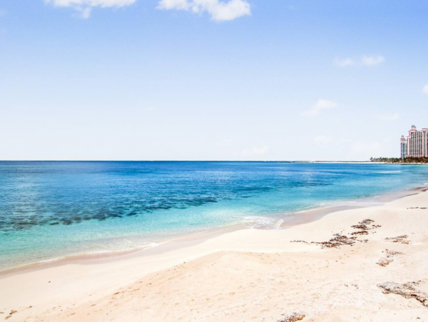 Beachfront 3 Bedroom Vacation Rental Full Ocean Views
