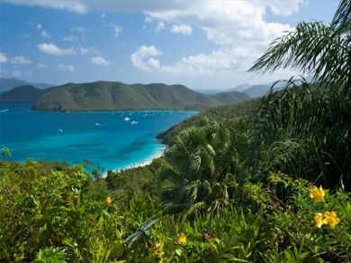Luxury St John Vacation Rental Pool Home 4 Bedrooms Sleeps 8