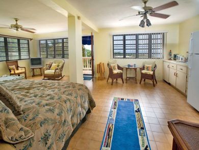 Luxury 4 Bedroom St. Thomas Vacation Villa with Private Pool