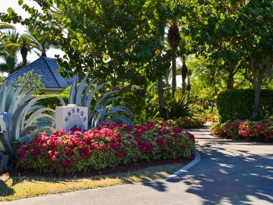 Antigua Barbuda Home 898656