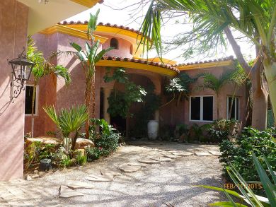 front door and vegitation