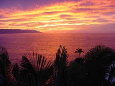 Located in the Beverly Hills Area of Puerto Vallarta
