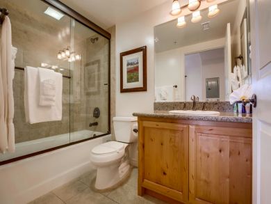 Bathrooom - Shower in Tub