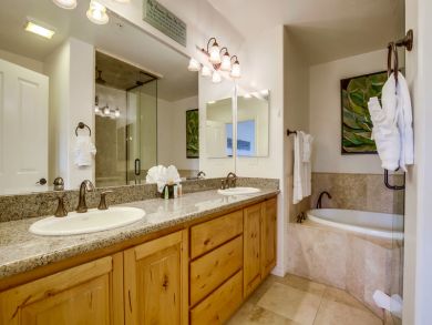 Separate Shower in Tub