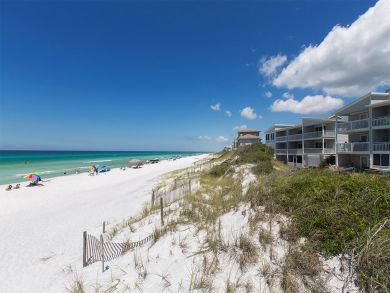 Sandy Beach Sandy Beach