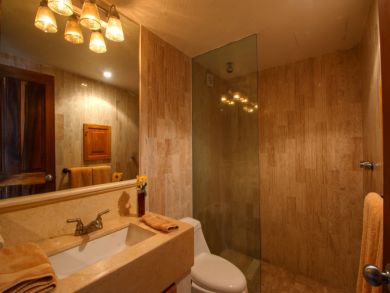 Puerto Vallarta Punta Mita Condo 899571