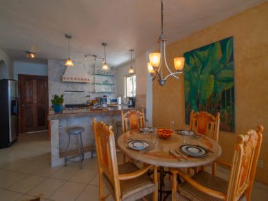 Puerto Vallarta Punta Mita Condo 899571