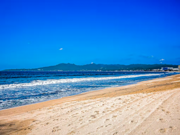 Beachfront Three Bedroom Vacation Condo with Amazing Bay Views