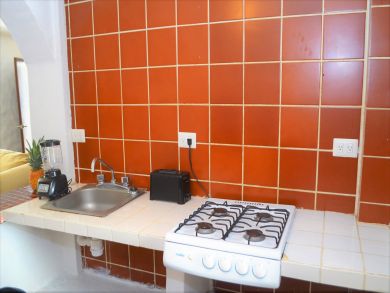 Puerto Vallarta Punta Mita Condo 899804