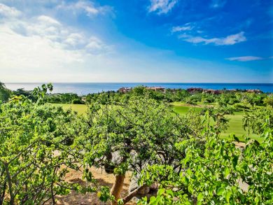 Vacation Rental Villas with Ocean Views in Cabo!