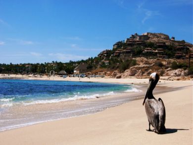 Come Vacation Cabo and Stay at this Six Bedroom Villa