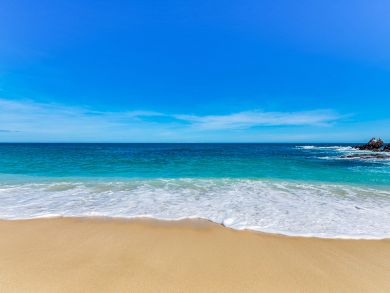 Five Minuet Walk to Palmetto Beach