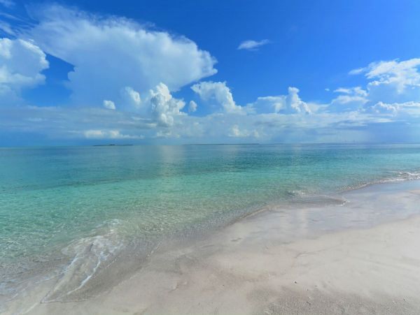Luxury Holmes Beach Vacation Rental 6-Bedroom Anna Maria Island Home with Pool & Waterslide