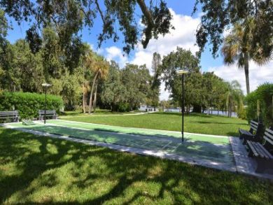 Shuffleboard Courts Shuffleboard Courts