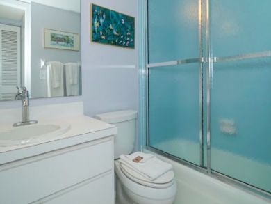 Shower in Tub Shower in Tub