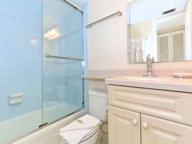 Shower in Tub Shower in Tub