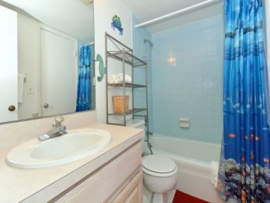Shower Over Tub