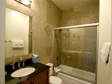 Shower Over Tub