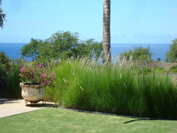 Luxury Three Bedroom Vacation Home Short Walk to Beach