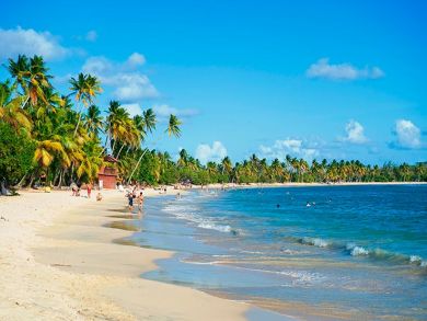 Martinique Luxury Villa for Rent Call Today