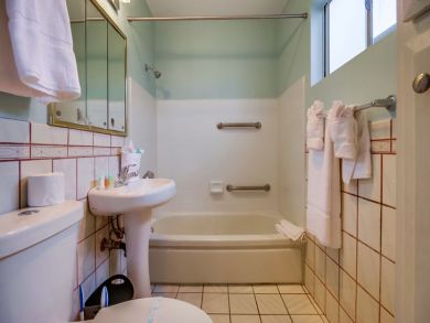 Shower Over Tub