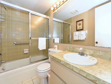 Bathroom - Shower in tub
