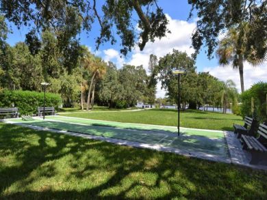 Lighted Shuffleboard Courts