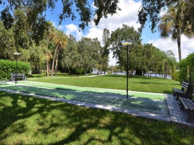 Lighted Shuffleboard Courts Lighted Shuffleboard Courts