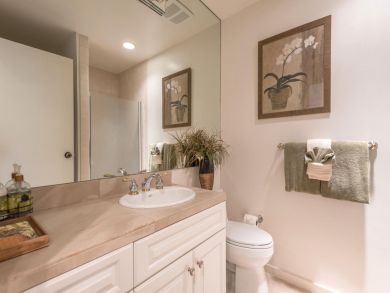 Guest bathroom with shower and vanity