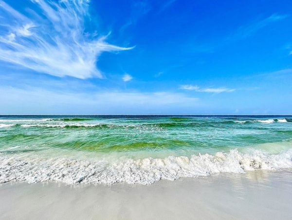 Your Perfect Seacrest Beach Escape with Elevator and Prime Location