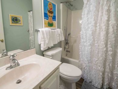 Bathroom shower in tub
