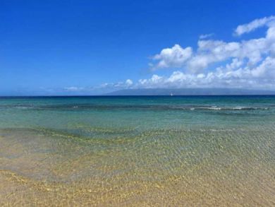 Ocean