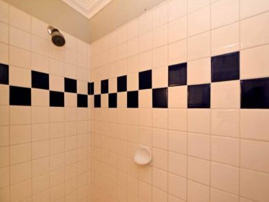 Walk-in Shower