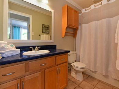 Shower in Tub