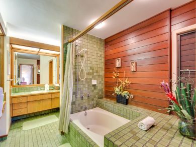 Bathroom - Shower in tub