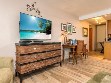 Living room with large flat scren TV
