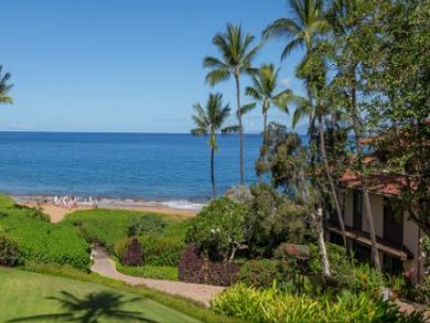 Ocean & Beach View