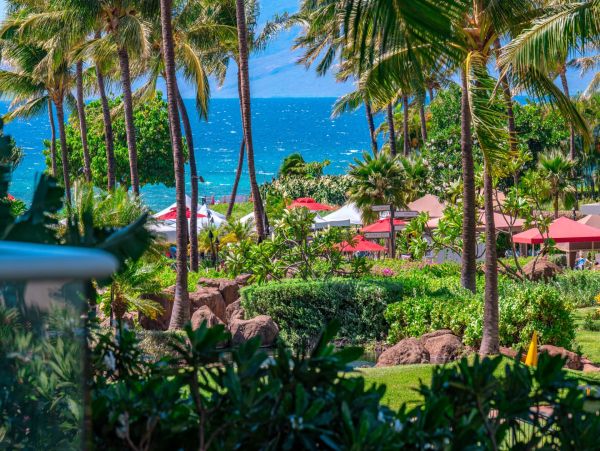 One Bedroom Beach Condo Communal Pool Sleeps Four Guests