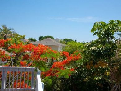 View from Balcony