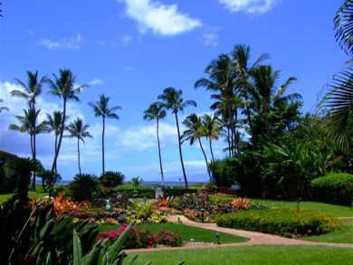 Tropical foliage Tropical foliage